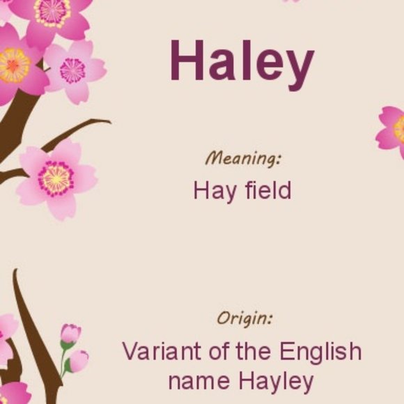 Meet your Posher, Haley - Picture 3 of 8